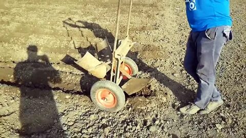 Посадка картошки вручную