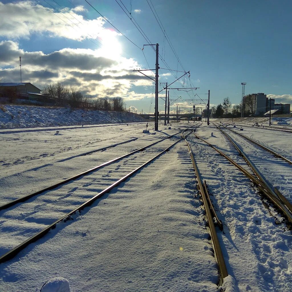 Лососно Гродно. Октябрьский район Гродно картинки. Гродно погода в марте.