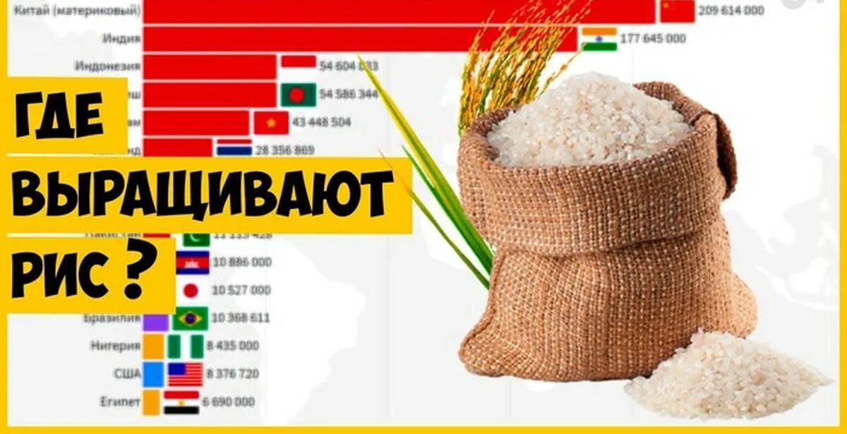 Страны по выращиванию риса. Производство риса в мире по странам. Страны производители риса. Топ стран по выращиванию риса. Крупнейшими производителями риса являются