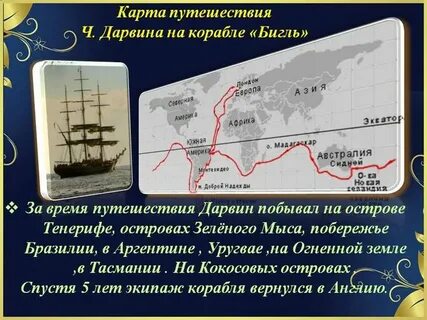 Ч дарвин путешествие на корабле