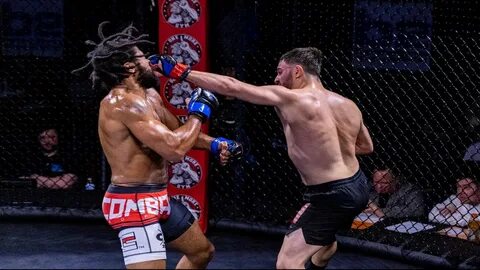 Mma трансляции