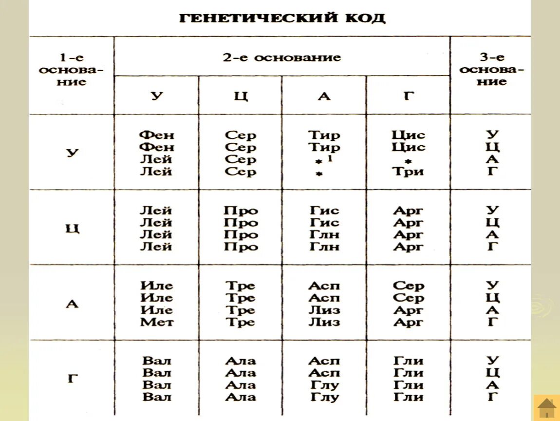 Таблица генетического кода. Генетический код схема. Цис лей тре. Фен-гли-тре-лей-цис - сер. Лей про сер арг ала