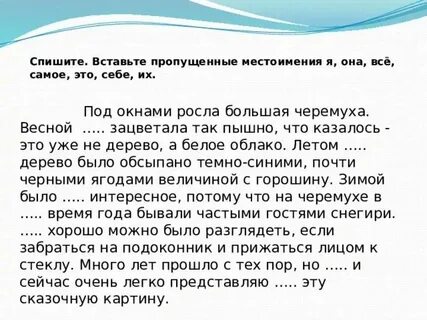 Вставь в предложения недостающие местоимения my her