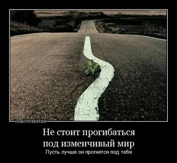 Не смотря на высокое качество