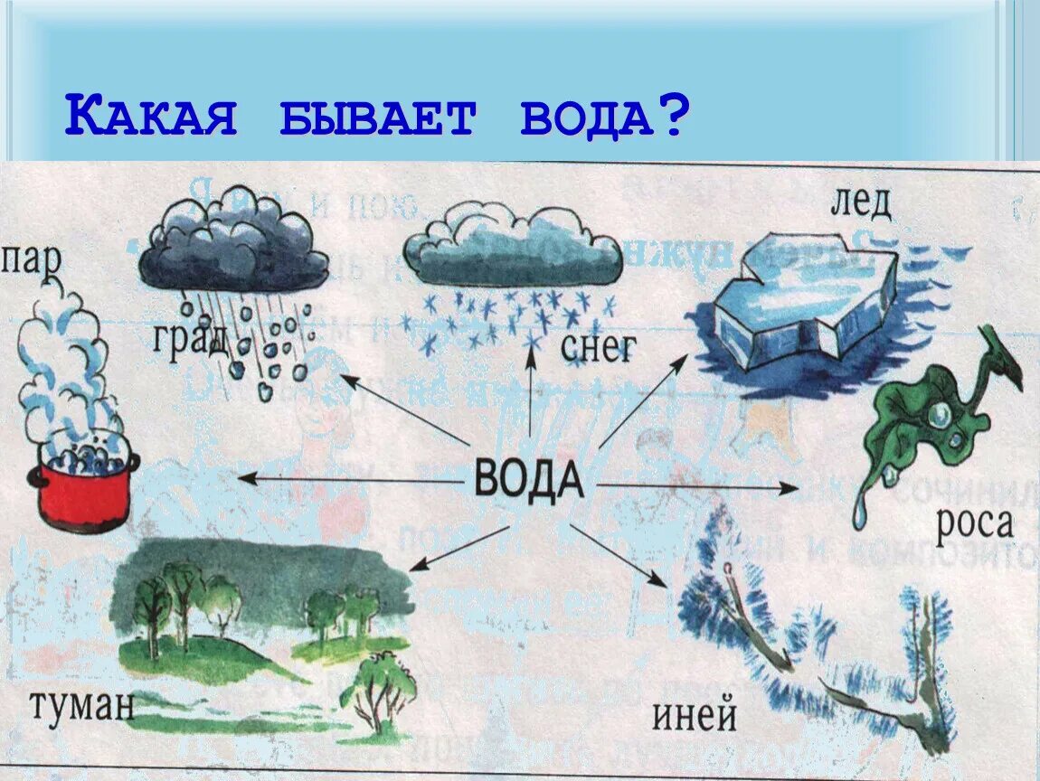 Урок про воду. Какая бывает вода. Картинки состояния воды для дошкольников. Состояния воды в природе для детей. Какая бывает вода для детей.