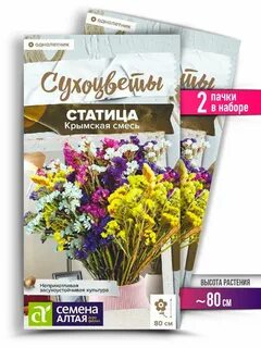Статица семена