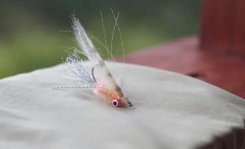 Fly flies видео