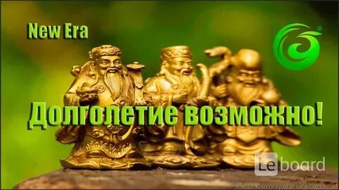 Новая эра 13