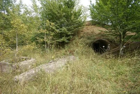 Погода киик