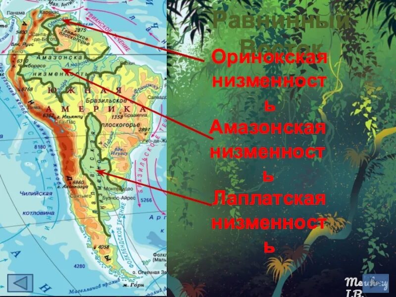 На каком материке находится амазонская низменность. Ла-Платская низменность на карте Южной Америки. Оринокская низменность на карте Южной Америки. Низменности Южной Америки на карте. Лаплатская низменность на карте Южной Америки.