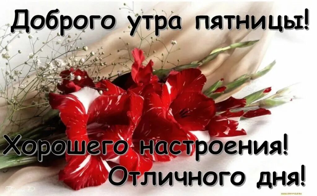 Утро пятницы хорошего дня. Доброе утро пятницы. доброе утро пяяяятницы. доброе утро пятницы пожелания. поздравление с пятницей и добрым утром.
