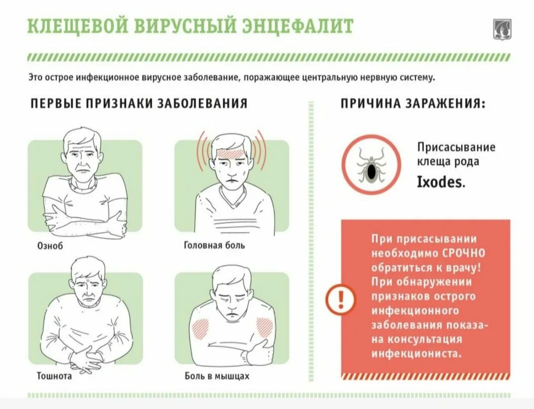 Вирусное заболевание головы