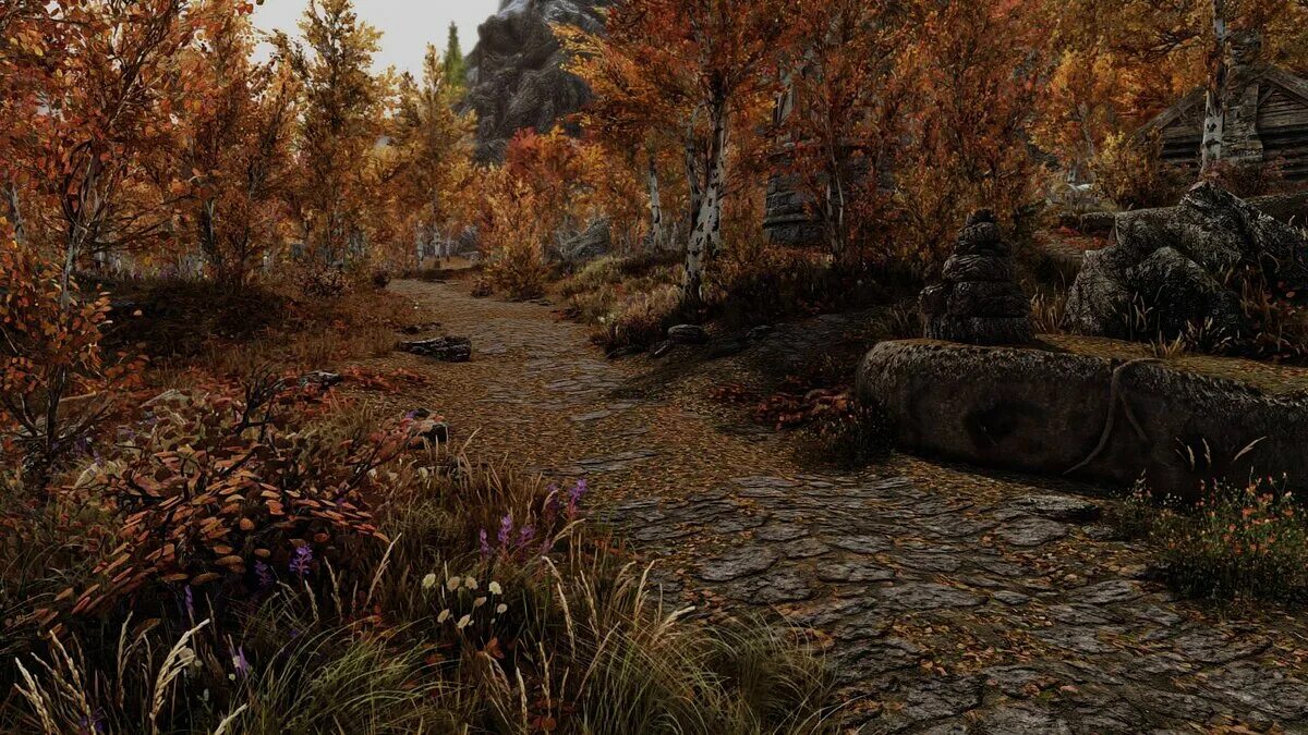 Skyrim enhanced. Что такое качество ландшафта в играх. the elder scrolls v: skyrim. skyrim special edition. skyrim 3d landscapes.