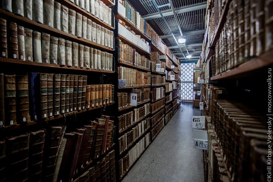 Дом пашкова румянцевский зал. Московская библиотека. Московская библиотека. И. Ргб (библиотека им.