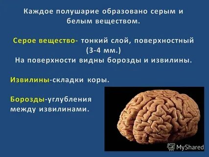 Инсульт лобной доли