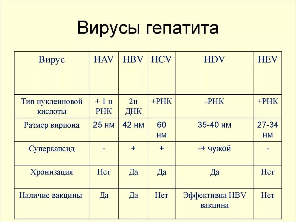 Гепатит а нуклеиновая кислота. Вирус гепатит б количественный расшифровка. Пцр днк hbv количественный. Гепатит в определение днк. Днк вирус гепатита b количественный норма.