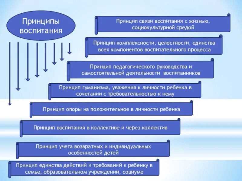 Связь воспитания и среды. Принцип связи воспитания с жизнью, социокультурной средой. Идея связи воспитания с жизнью. Принцип единства и целостности воспитательного процесса. Принцип взаимосвязи, единства.