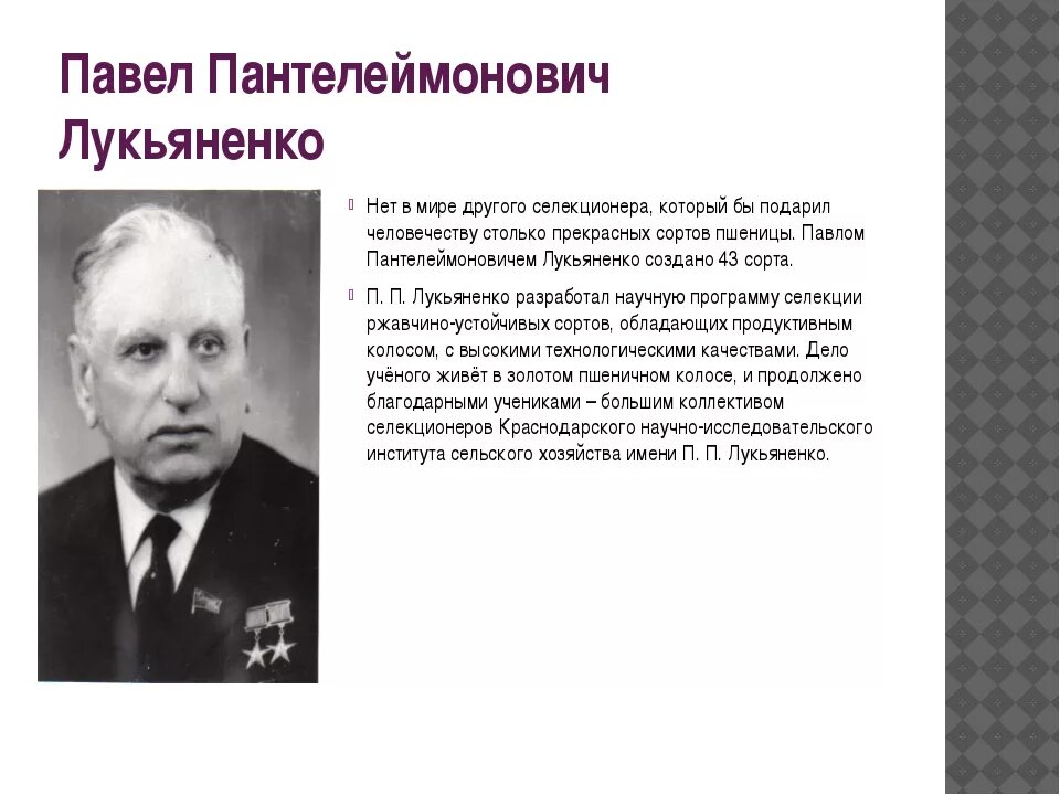 Известные люди труда кубани. Труженики кубани известные люди. Известные люди труда кубани. Известные люди труда. Известные люди труда кубани.