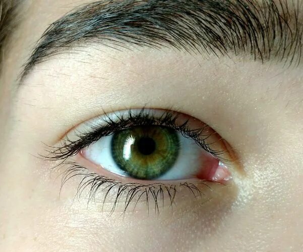 Зелёные глаза. Желто зеленые глаза. Жёлто-зелёные глаза у человека. Зелено серые глаза. Левый глаз темнее правого