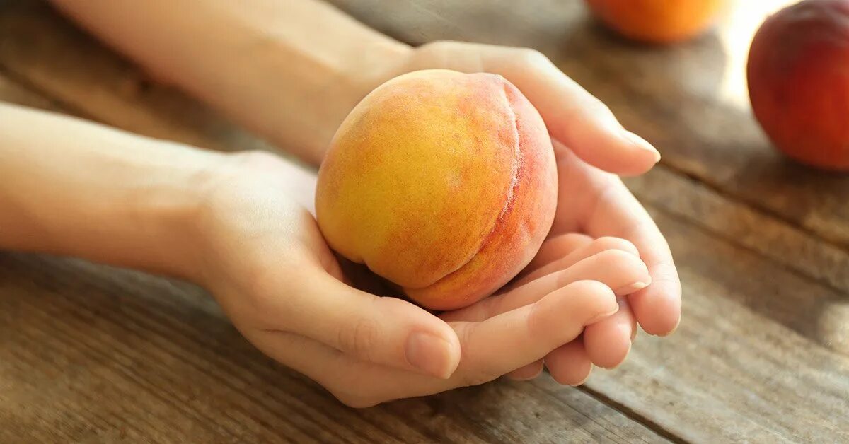 Персик в ладошке. Персик на ладони. Человек держит персик. Большие персики. Нектарин в руке.