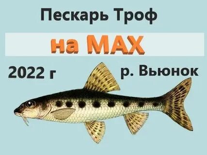 Пескарь вьюнок