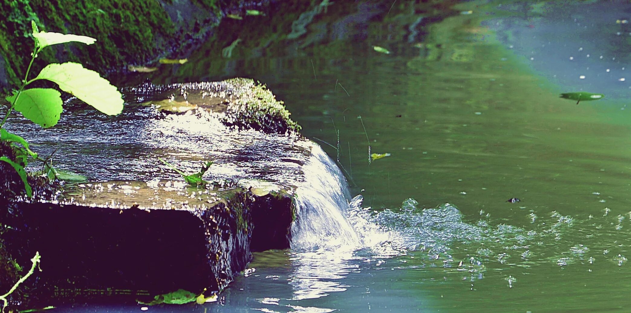 Водный источник текущий из глубины земли ключ. Природные источники воды. Чистый Родник. Источник воды река. Вода чистый источник.