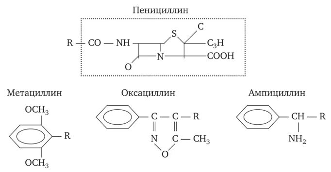 Получение пенициллина