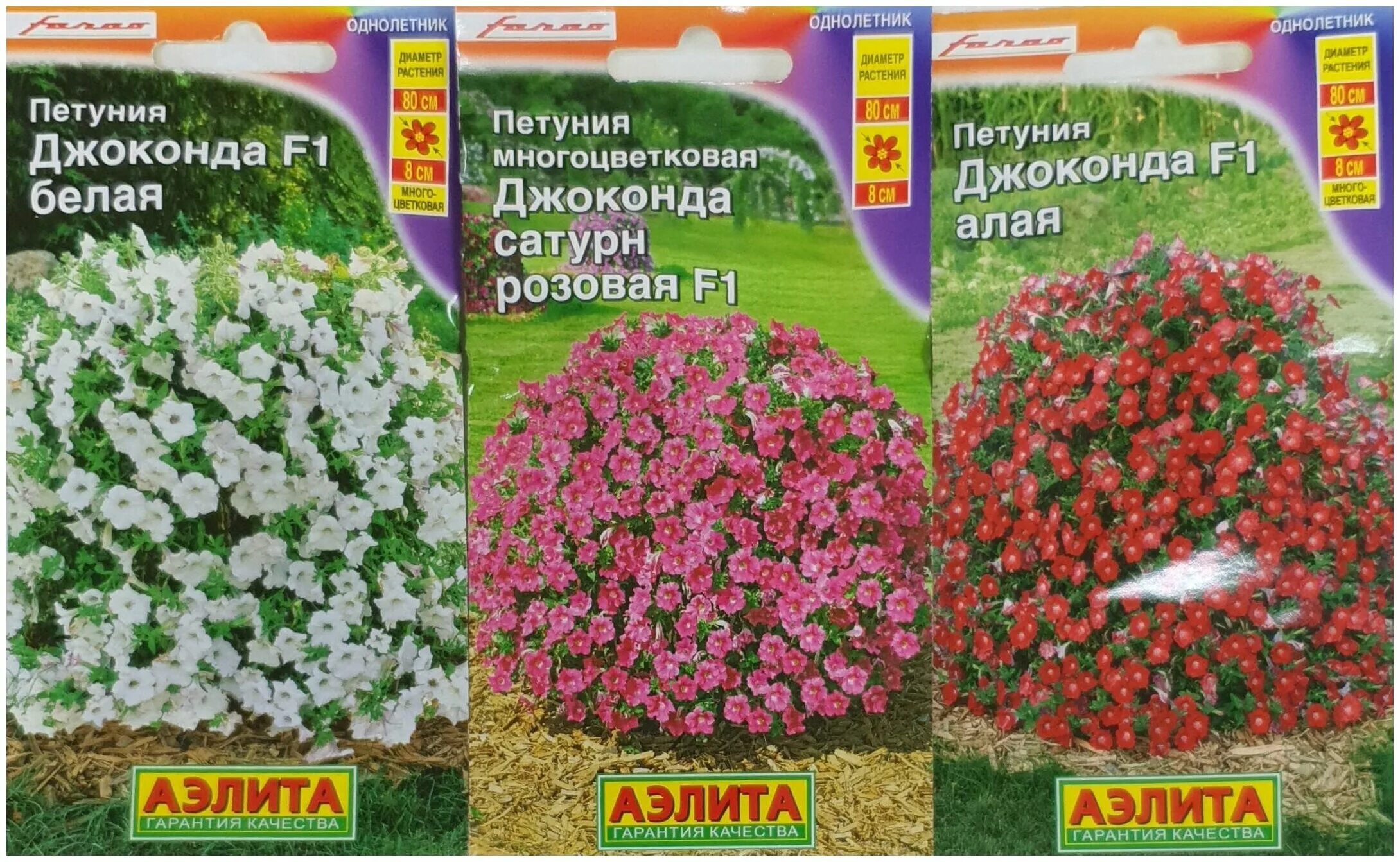 петуния мультифлора джоконда. петуния джоконда морская симфония. петуния ампельная опера вайт. петуния джоконда белая f1 (фортуния). петуния джоконда белая.