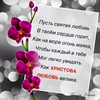 Поздравление невестке брата с днем рождением