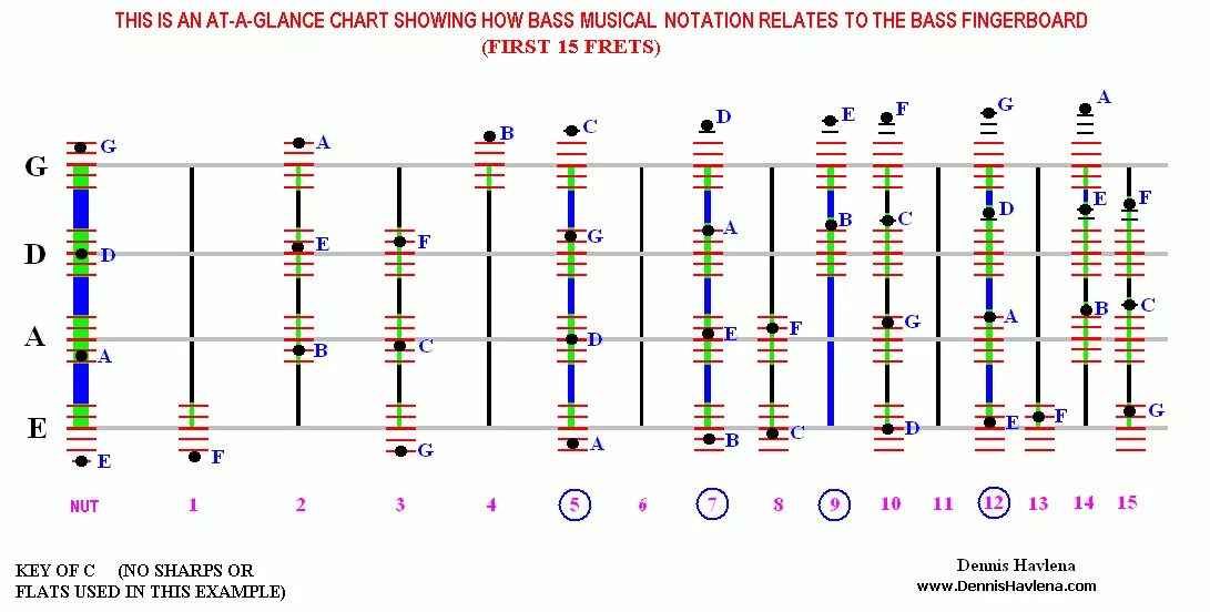 A chart showing. Октавы на грифе бас гитары. Ноты на грифе бас гитары 4 струны. Ноты на грифе бас гитары 4 струны для начинающих. Ноты на бас гитаре 4 струны.