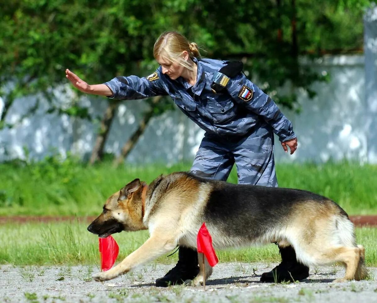 Собаковод