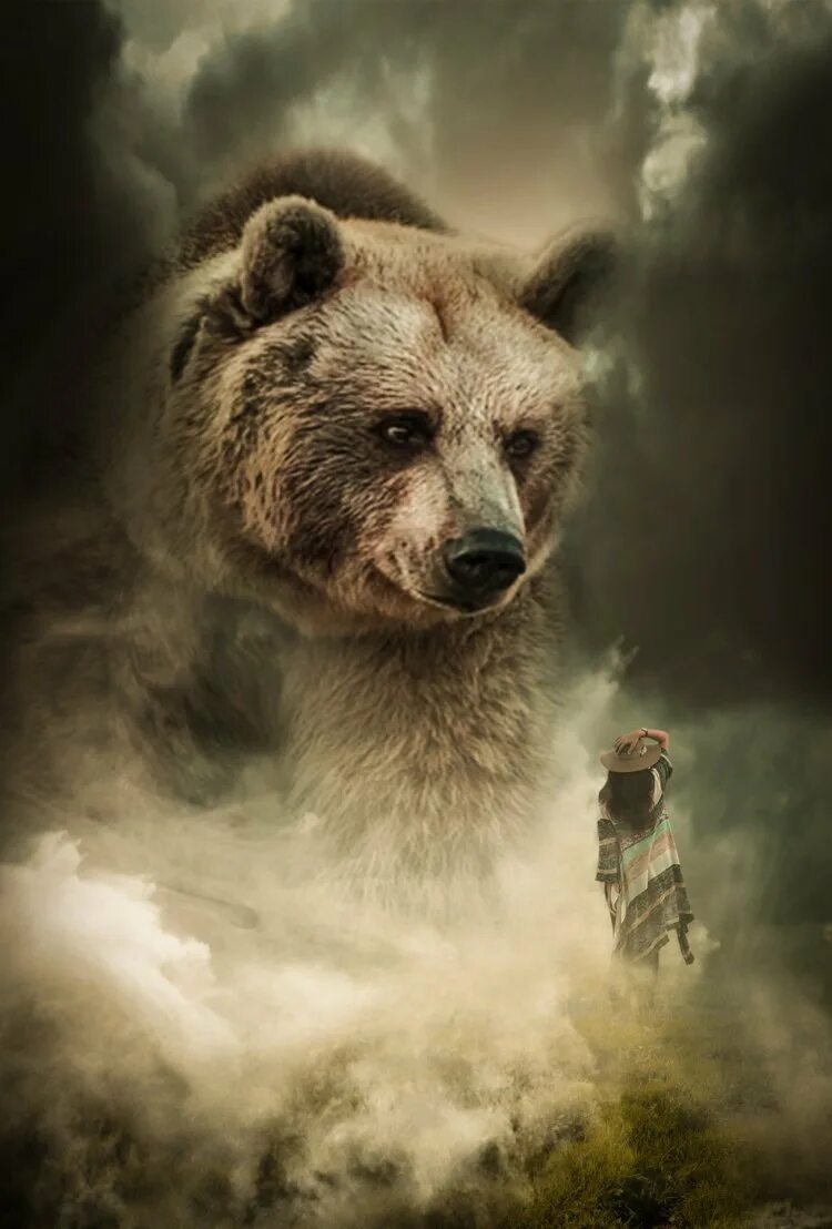 Тема русский медведь. Медведь арт. Медведь в тумане. Крутой медведь. Картинки на телефон медведь.