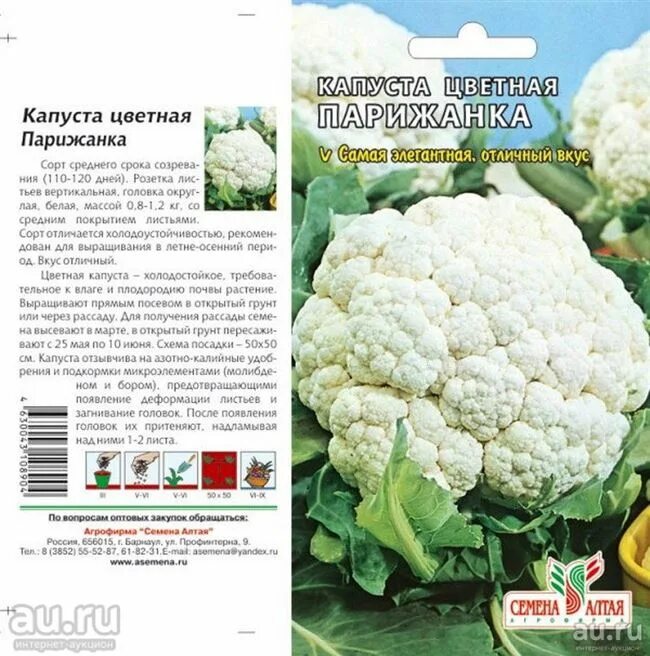 Какой сорт цветной капусты лучше. Скороспелые сорта цветной капусты. капуста парижанка описание. капуста цветная балбоа f1. капуста цветная парижанка характеристика и описание сорта.