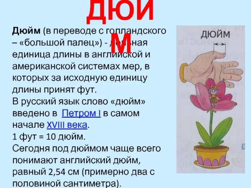 Английская мера длины дюйм. Ярд фут дюйм в метрической системе. Длина в дюймах. Как возник ярд фут и дюйм.