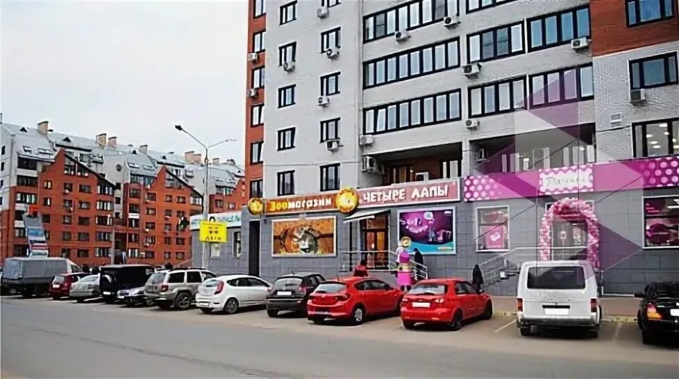 Подружка жуковский. Подружка жуковский