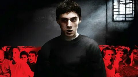 Загон для собак 2009