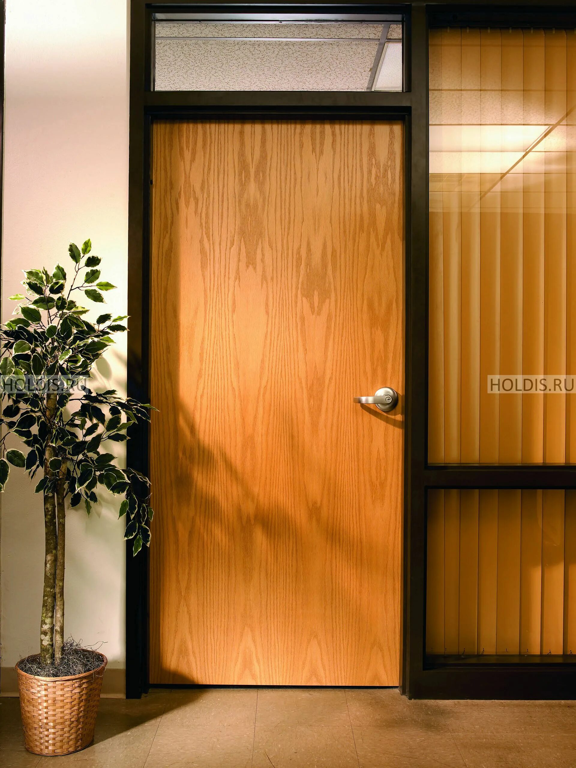 Купить офисные двери. Входная дверь в офис. Офисные двери. Дверь в кабинет. Двери в офис межкомнатные.