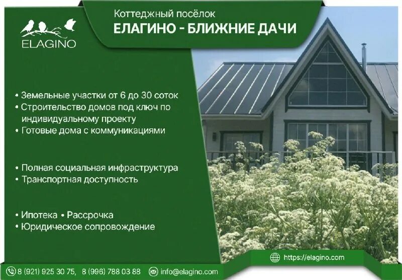 люди на даче.