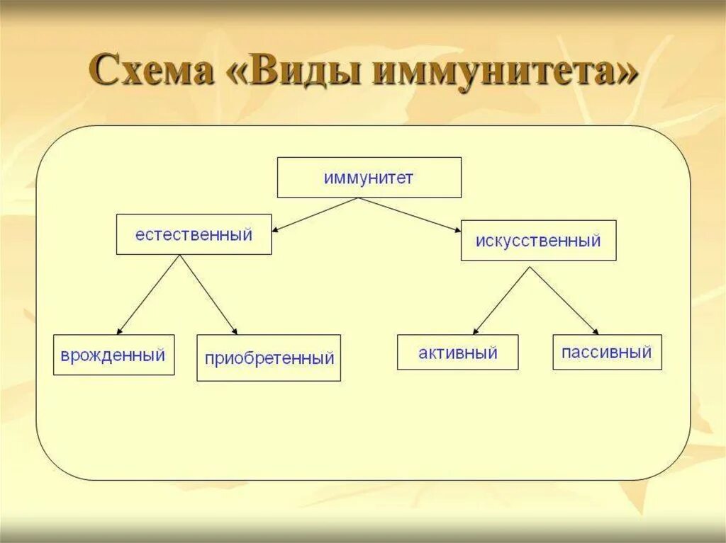 Виды иммунитета схема. Схема классификации видов иммунитета. Составьте схему виды иммунитета. Формы иммунитета схема