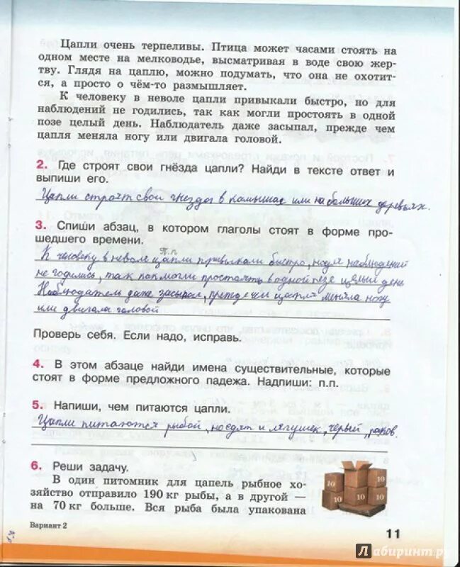 Комплексная работа 3 класс про. Комплексная интегрированная проверочная работа. Комплексная 3 класс. Комплексная работа 3 класс с ответами. Комплексные работы Смирнова 3 класс.