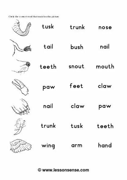 Spotlight 5 animal body parts. Part of animal's body 3 класс. Spotlight 5 animal body parts. Spotlight 5 animal body parts. Spotlight 5 animal body parts.