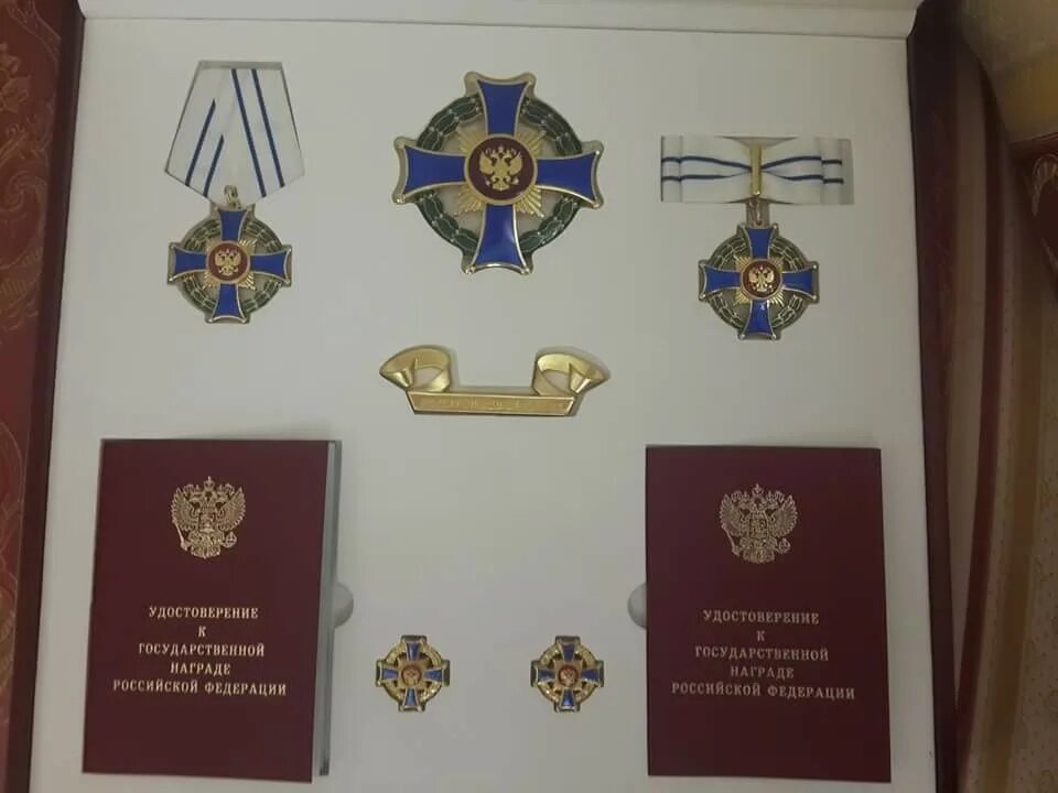Родительский орден как получить. Медаль ордена родительская слава. орден родительская слава кремлин. орден родительская слава 2025. орден и медаль родительская слава мать героиня.