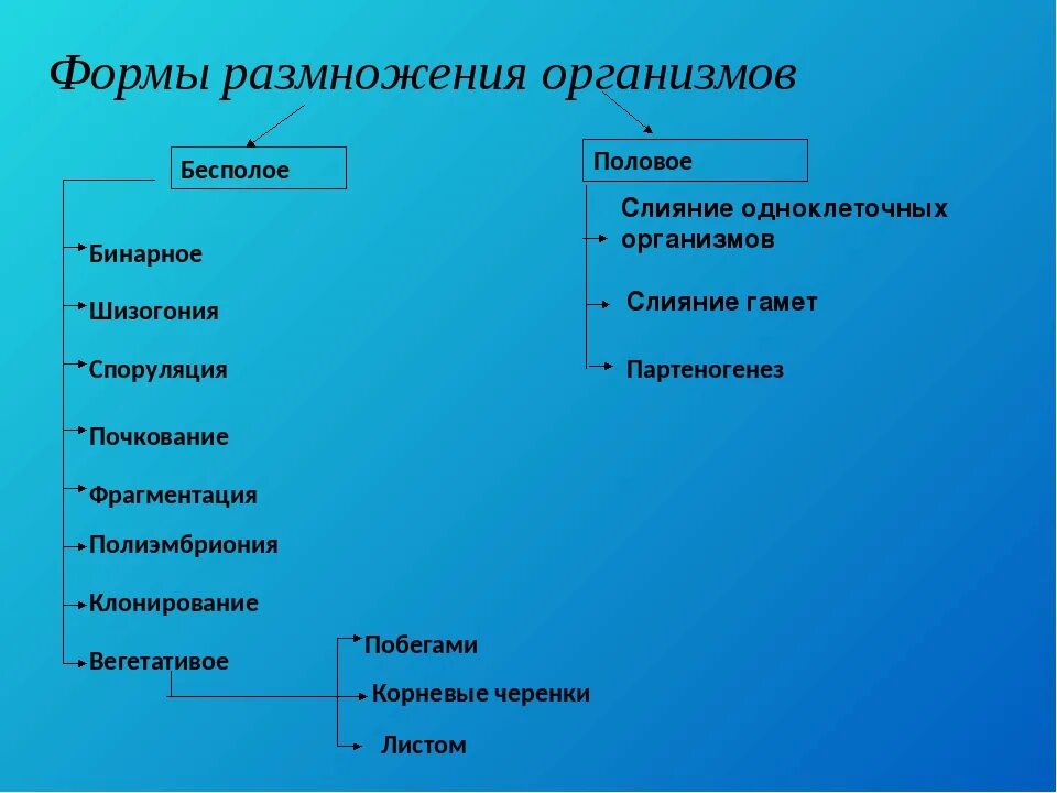 Размножение живых организмов примеры. Размножение организмов бесполое половое схема. Формы и способы размножения организмов схема. Способы размножения живых организмов схема. Половое размножение организмов схема.