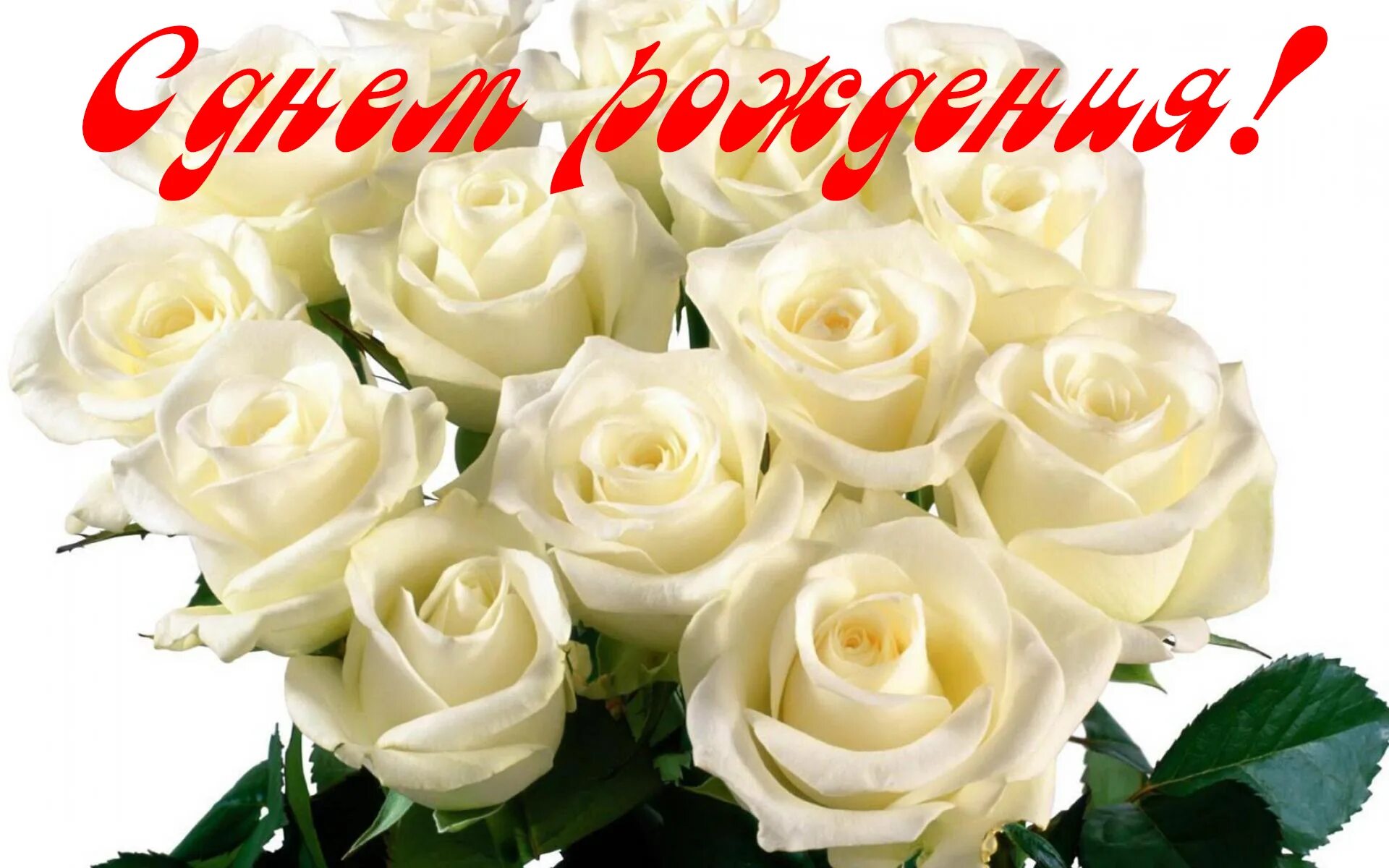 С днём рождения белые розы. Поздравления с днем рождения белые розы. Открытки с днём рождения женщине белые розы. С днём рождения женщине красивые открытки с белыми розами.