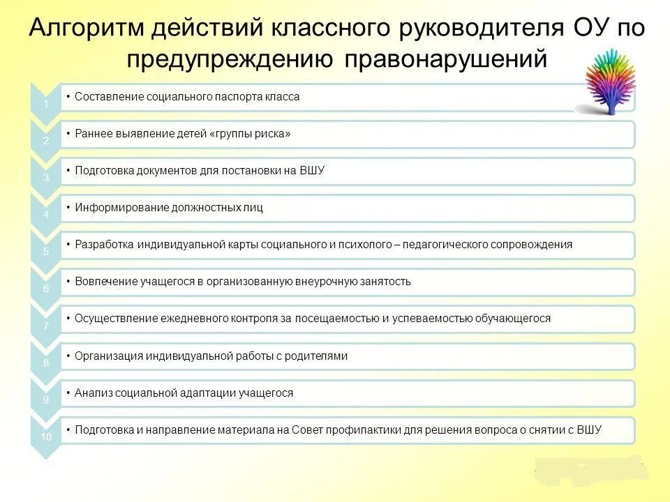 Профилактика правонарушений справка. Алгоритм действий классного руководителя. Алгоритм деятельности классного руководителя. Работа классного руководителя. Профилактика правонарушений.