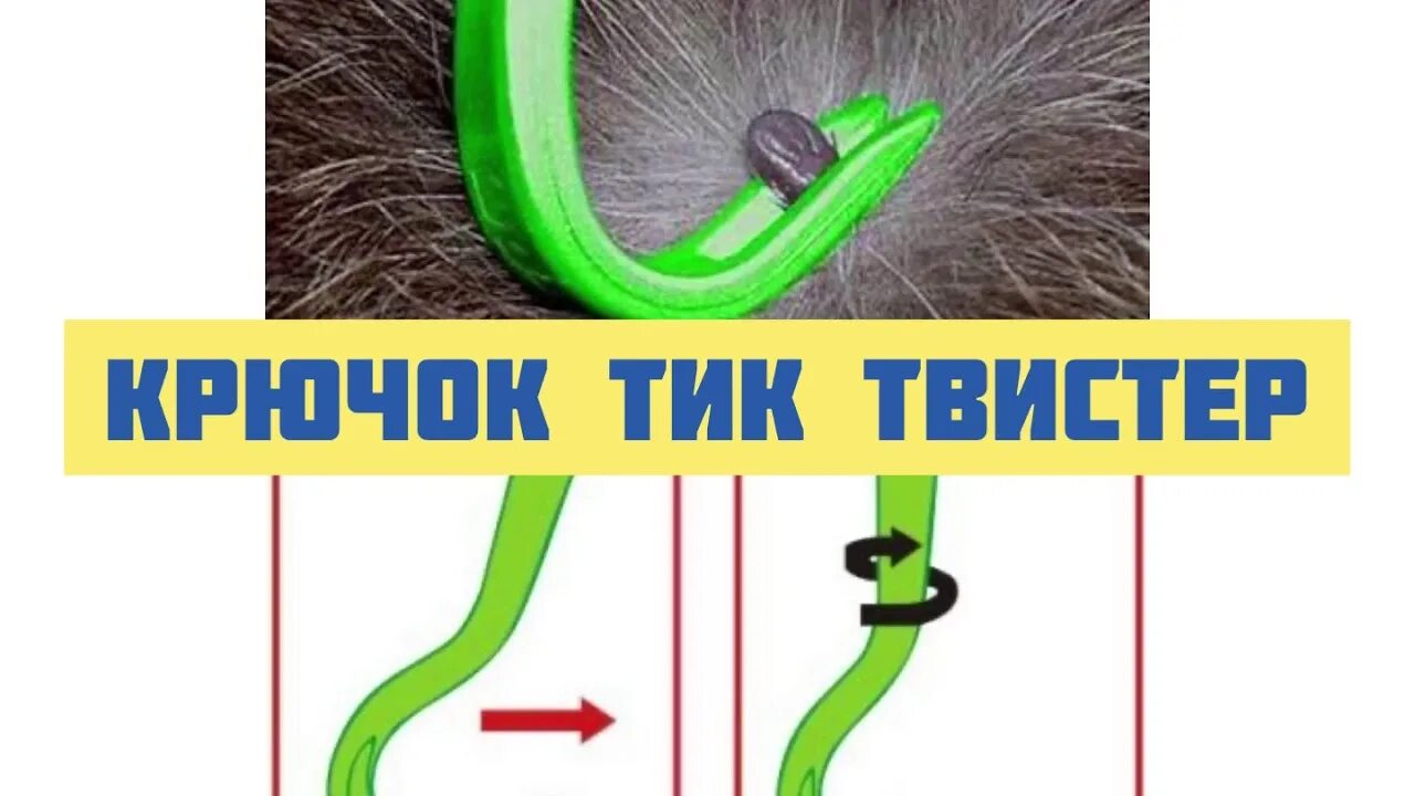 Как достать клеща у кошки