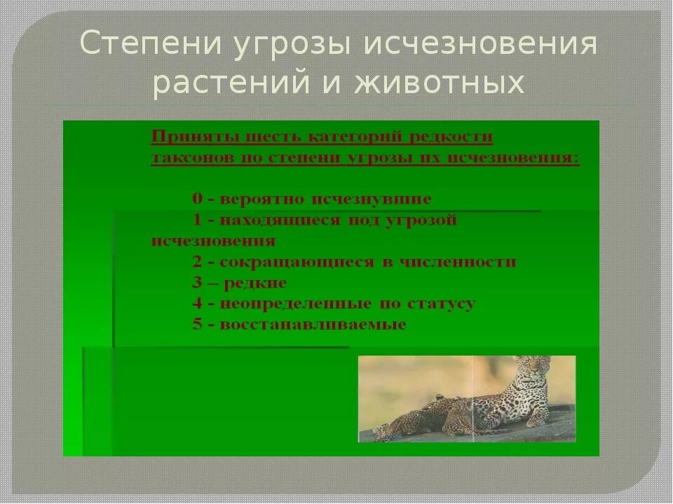 Исчезновение редких животных и растений. Исчезновение животных и растений. угроза исчезновения животных. решение проблемы вымирания животных и растений. пути решения исчезновения животных и растений.