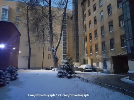 Атмосфера улицы