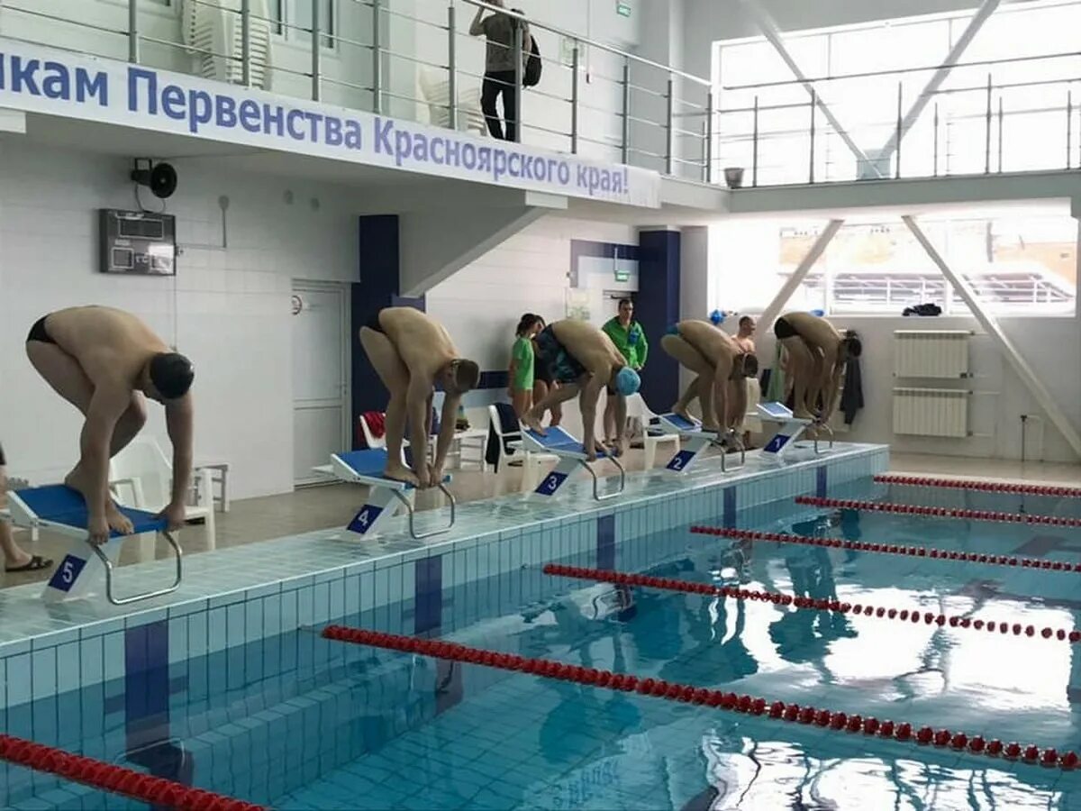 Бассейн сибиряк красноярск. Школ плавания i love swimming. Swimming красноярск. Грудничковое плавание. Локомотив пловцы.