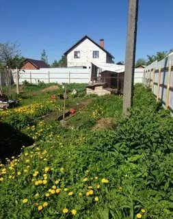 Поселок беляниново ул вишневая 11